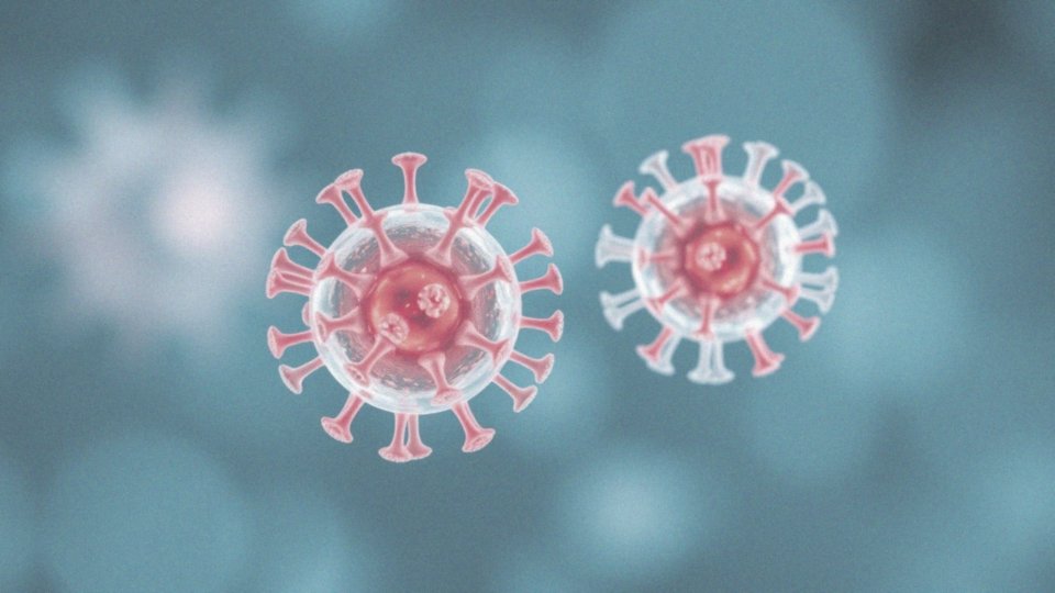 Jakie są różnice między wirusem HIV-1 a HIV-2?