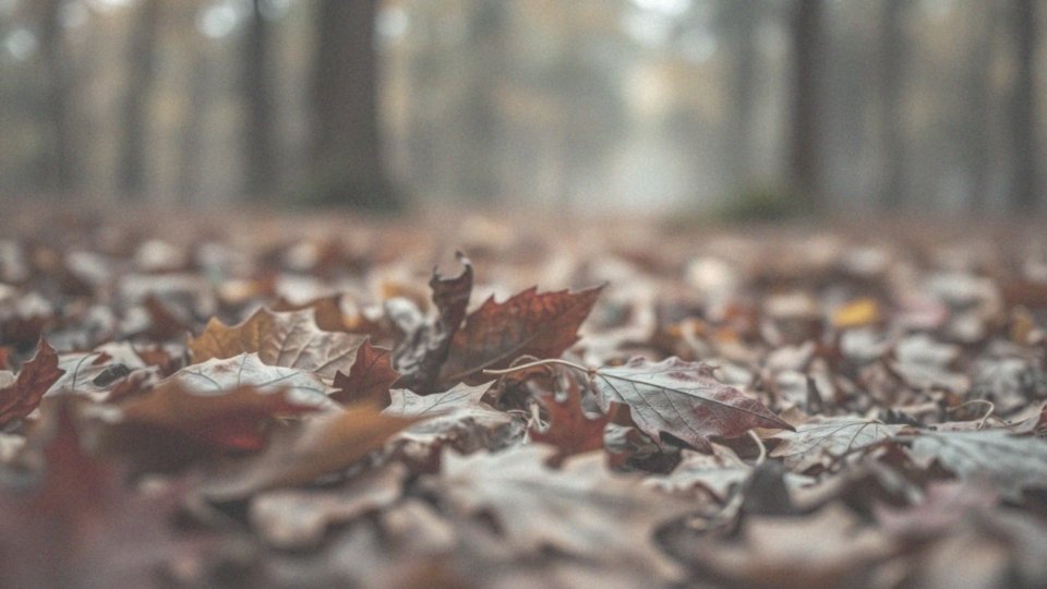 Choroby wirusowe człowieka – objawy, leczenie i profilaktyka