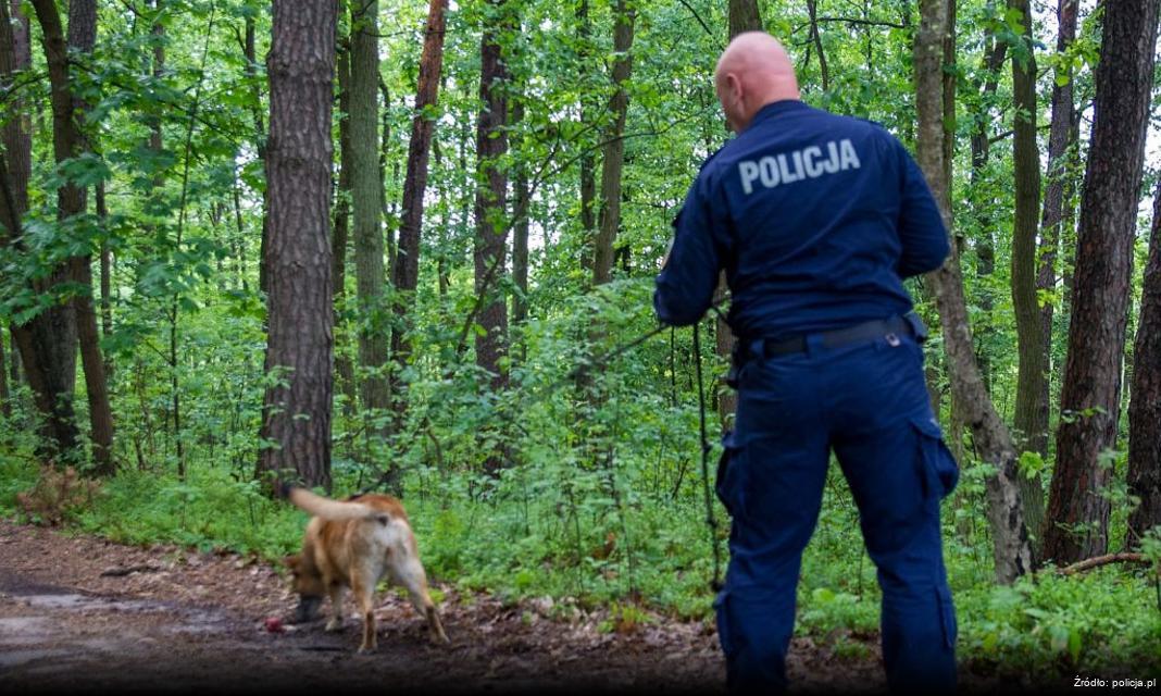 Podejrzani mężczyźni zatrzymani po interwencji policji